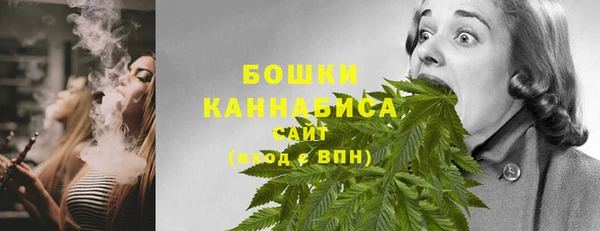 дмт Нягань
