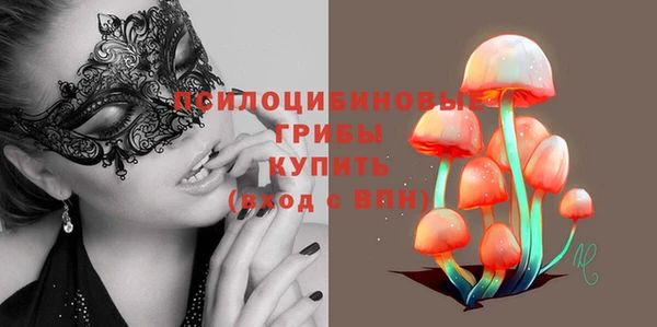 круглые Новодвинск