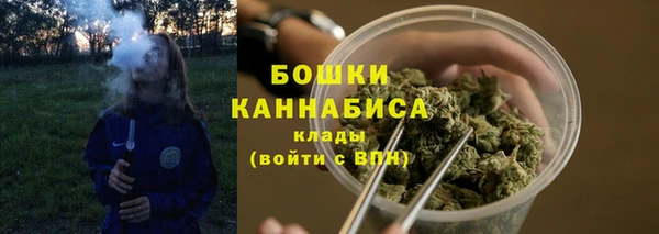 метадон Новозыбков