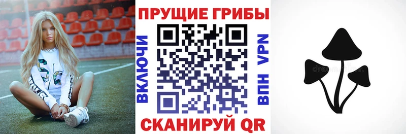 Галлюциногенные грибы прущие грибы  Арсеньев 