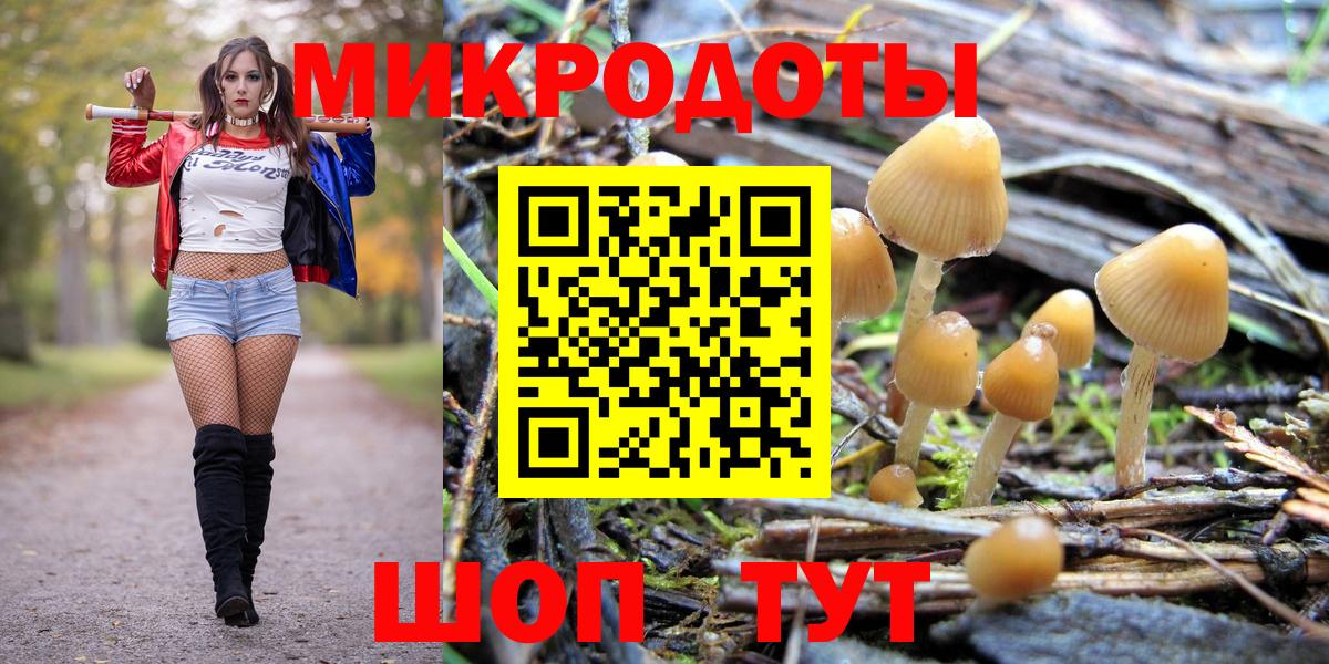 Псилоцибиновые грибы MAGIC MUSHROOMS  Вход с VPN  Галлюциногенные грибы прущие грибы  наркошоп  Арсеньев 