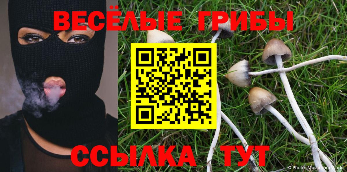 Галлюциногенные грибы Psilocybine cubensis Арсеньев