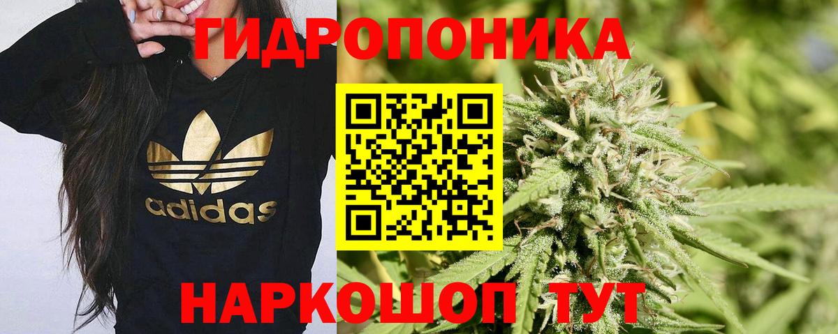 Канабис Amnesia Арсеньев